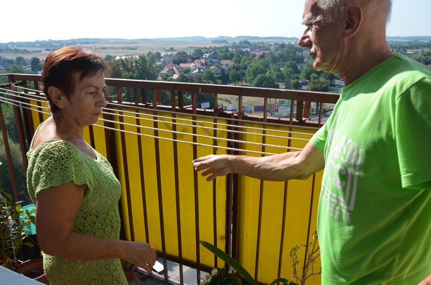 Na balkonie Danuty Boszko i Franciszka Drewniaka pustułki...