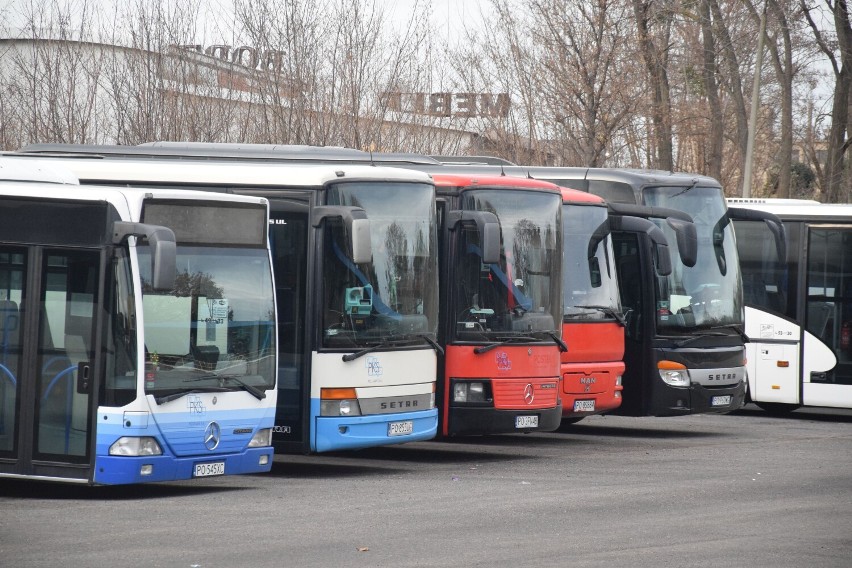 Noworoczne zmiany w rozkładzie jazdy autobusów. PKS Poznań S.A. zawiesza trzy połączenia ze Śremem [lista]