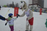 Zakopane. Ścigali się na zawodach Koziołka Matołka [ZDJĘCIA]