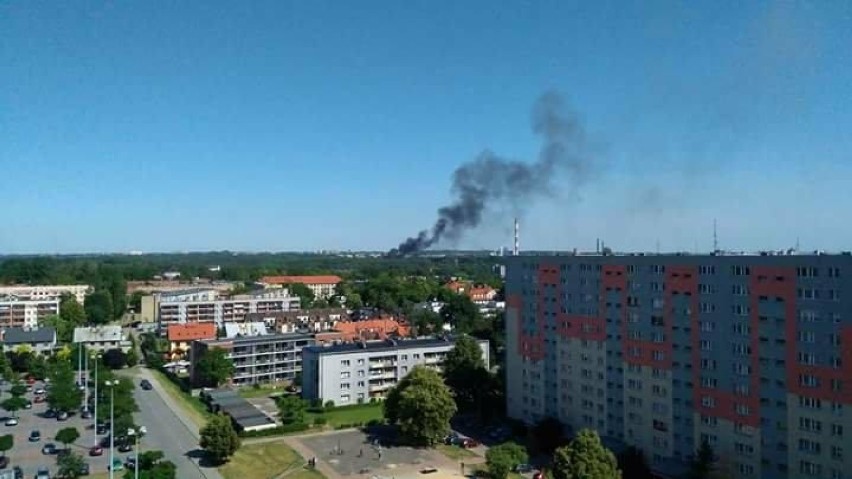 Zabrze: Pożar składowiska śmieci przy ul. Cmentarnej. Gęsty dym widać z daleka [ZDJĘCIA]