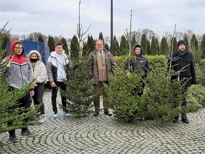Nadleśnictwo Wolsztyn ufundowało świąteczne drzewka dla...
