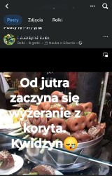 "Od jutra zaczyna się wyżeranie z koryta". Komentarz nauczycielki kwidzyńskiego liceum wywołał burzę. Sprawa trafiła do kuratorium