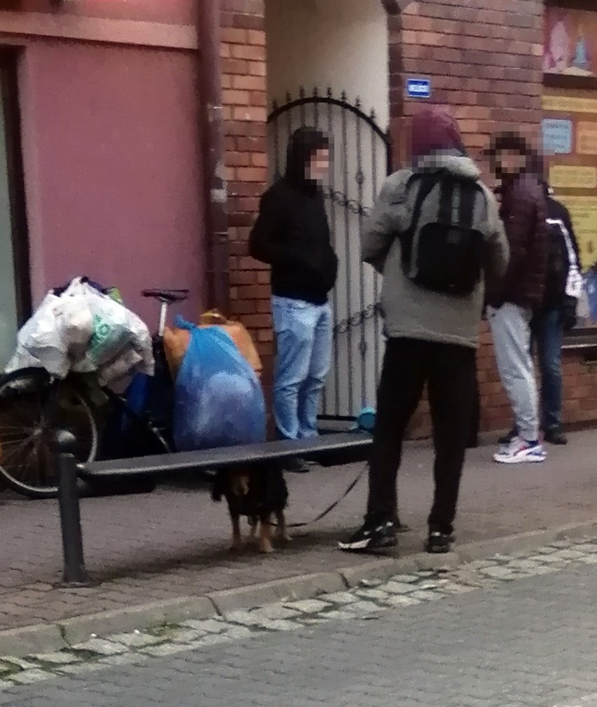 Głogów: Na Grodzkiej przy przedszkolu pies gryzł przechodniów. Interweniowała policja