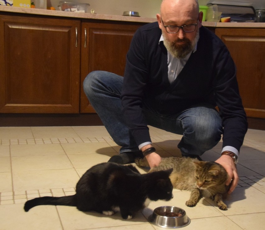 Waldemar Cichoń i jego koty