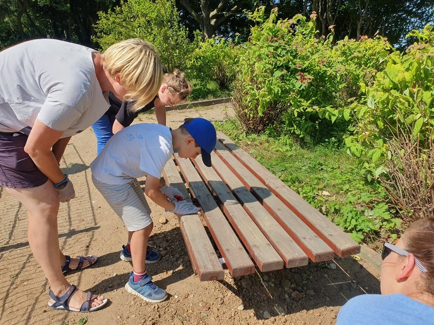 Pucki Klub Integracji Społecznej maluje ławeczki w parku Nowowiejskiego w Pucku 27.07.2019