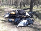 Leśnicy biją na alarm - hałdy śmieci trafiają do lasów! Zapowiadają walkę z osobami, które porzucają w lasach śmieci