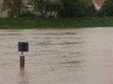 Wysoka woda na Odrze w Opolu. Zdjęcia z godziny 13.00
