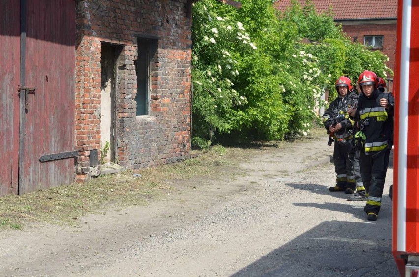 Pożar śmieci na terenie parowozowni przy ul. Składowej