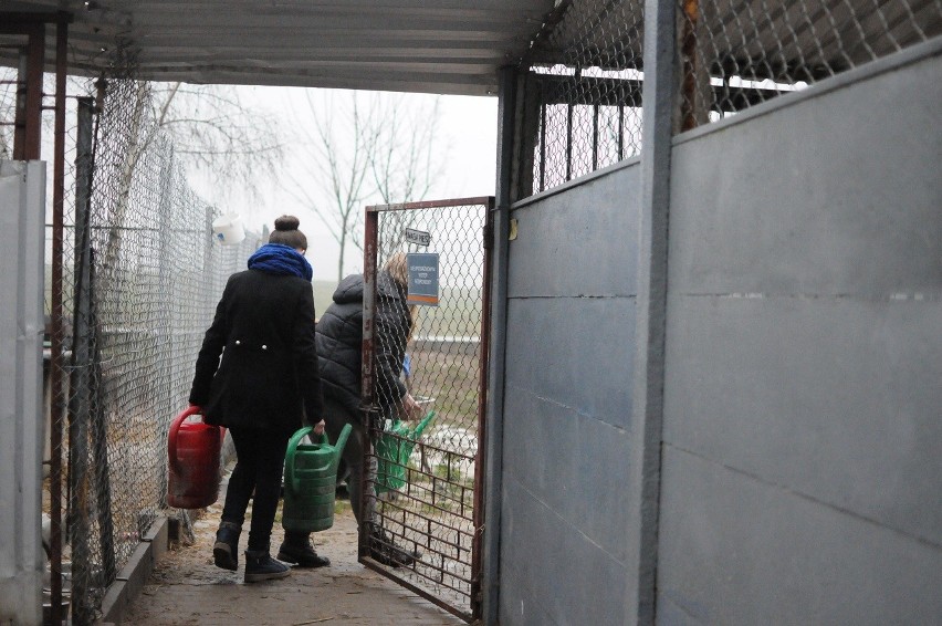 Schronisko w Gaju: otwarcie wyremontowanych pomieszczeń. Psy, wolontariusze i pracownicy mają ciepło