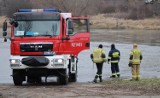 Strażacy z Głogowa ruszyli na ratunek sarnie. Okazało się... że to nie było zwierzę