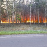 Zagrożenie pożarowe lubuskich lasów. Jest bardzo sucho. Codziennie dochodzi do pożarów!