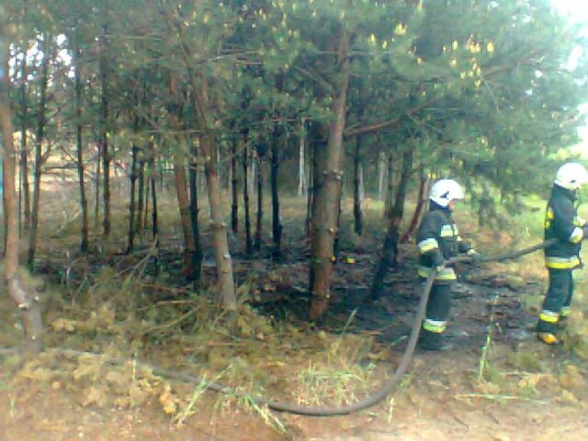 Pożar w miejscowości Gryglaki.