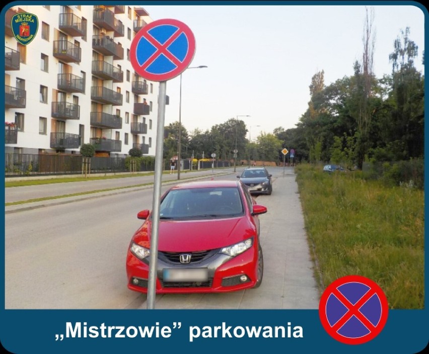 "Mistrzowie parkowania". Straż Miejska uruchamia kolejny sezon cyklu i pokazuje, jak parkują warszawiacy