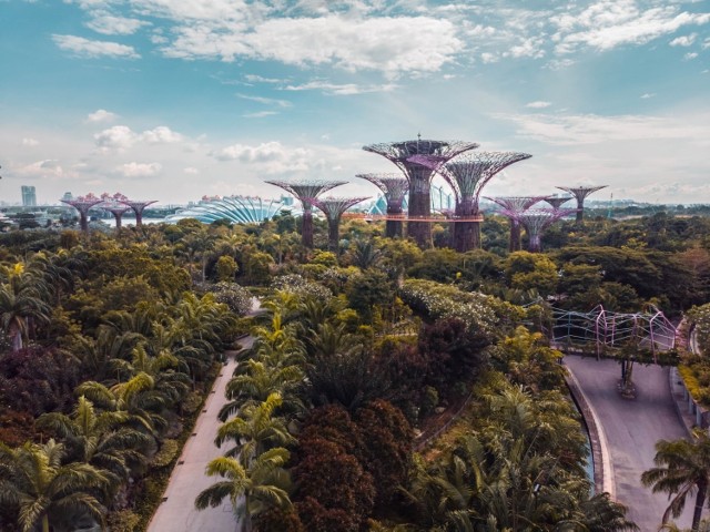Singapur jest drugim, najbardziej zaludnionym państwem na świecie. Umiejętnie łączy miejskie życie z naturą