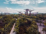 Singapur łączy życie miejskie z naturą. Od 2028 roku zamierza wprowadzić ekologiczną strefę. Nie zawsze było tam tak zielono jak teraz