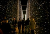 Iluminacje świąteczne rozbłysły w Parku Oliwskim [ZDJĘCIA, WIDEO]