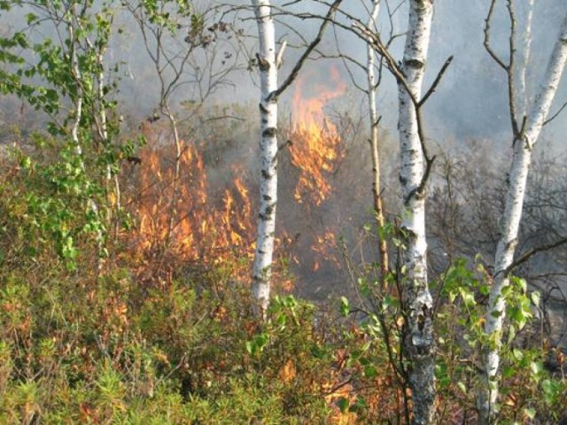 Pożar Torfowiska Karaska