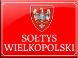 SuperSołtys i SuperSołectwo Wielkopolski 2016. Zgłoś kandydata