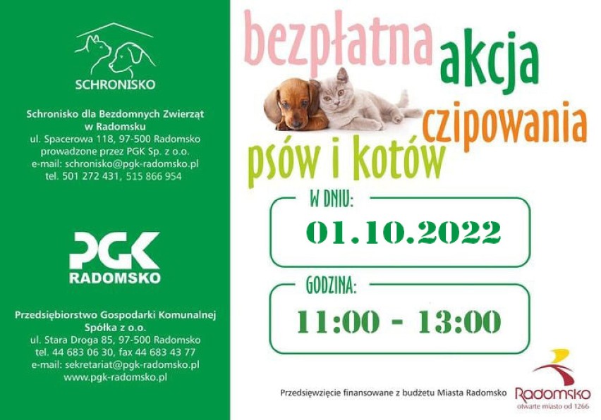 Schronisko dla Zwierząt w Radomsku organizuje czipowania psów i kotów