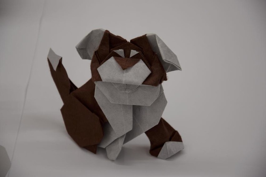 Origami - to sztuka dla cierpliwych! Dziś odbył się ostatni dzień warsztatów
