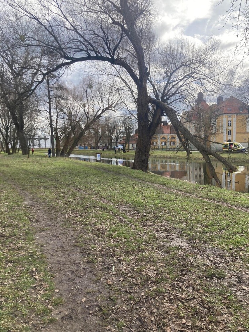 Według świadków chodzi o osobę dorosłą, która zniknęła pod...