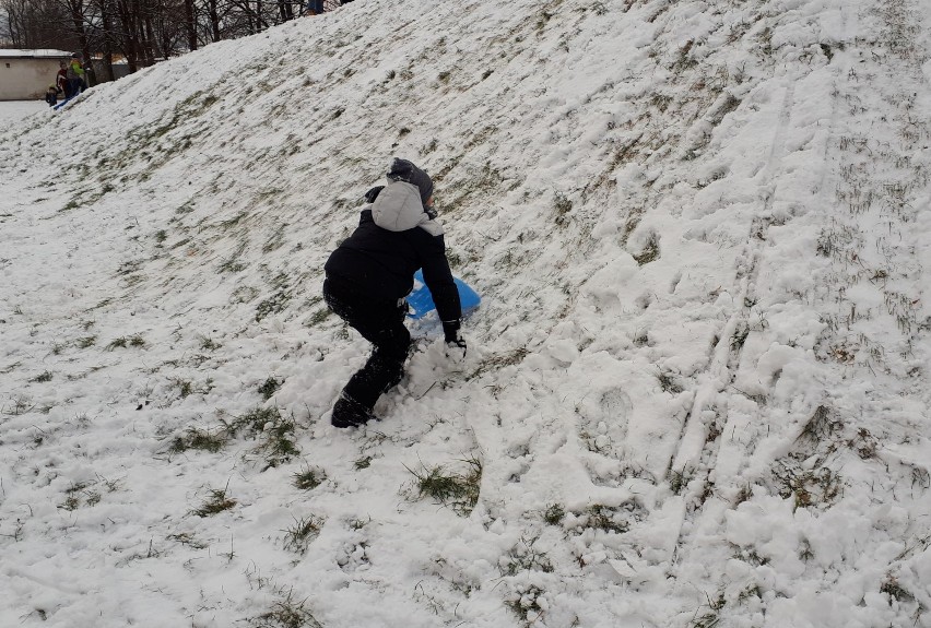 Wreszcie sypnęło śniegiem. Dzieci w Jaśle mają frajdę, mogą pojeździć na sankach [ZDJĘCIA]