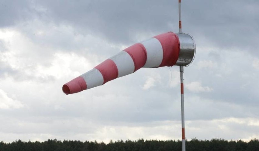 IMGW ostrzega: silny wiatr na Pomorzu. Strażacy w powiecie gdańskim interweniowali dwa razy