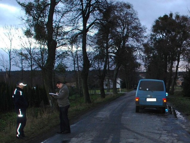 Potrącenie w Mątowskich Pastiwskach