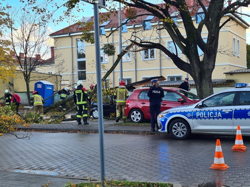 Wichura w Pruszczu i powiecie gdańskim. Zerwane dachy, zburzone ściany, powalone drzewa |ZDJĘCIA