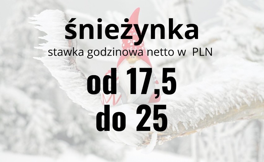 Tyle zarabiają mikołaj, śnieżynka i sprzedawca karpi [22.12.2022 - lista]