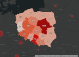 Koronawirus w Polsce. Gdzie stwierdzono zachorowania? [LISTA MIAST] 11.04.2020