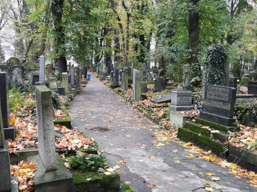 Kraków. Ratują zabytkowe macewy na cmentarzu przy Miodowej