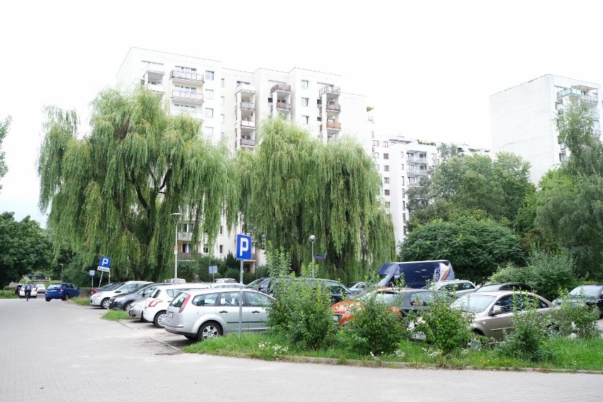 Warszawa. Na ursynowskim osiedlu może dojść do wycinki drzew