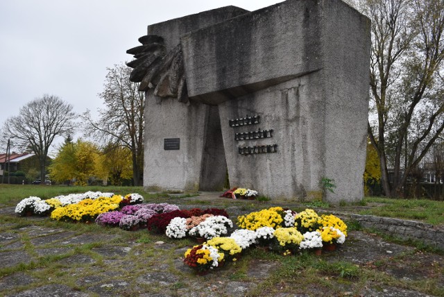 Krosno Odrzańskie jest kolorowe dzięki chryzantemom, które przyozdabiają miejsca w górnej i dolnej części miasta, a także w okolicznych wsiach.