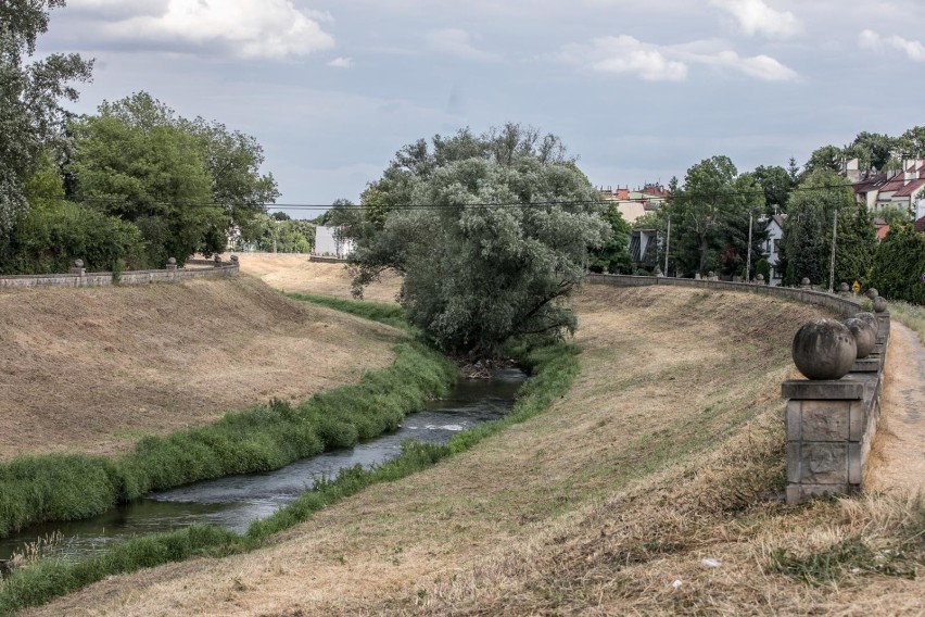 Kraków. Wały Rudawy zyskają ścieżkę rowerową z łąką