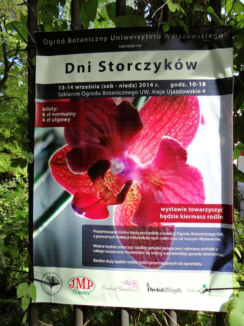 fot. Jolanta Dyr - plakat reklamujący "Dni Storczyków" w...