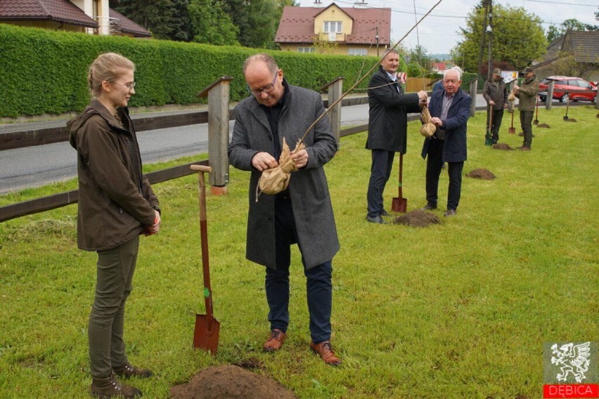 Nadleśnictwo Dębica nie przypadkowo wybrało do zasadzenia...