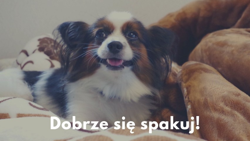 Nie ma co się oszukiwać- jedna torba lub walizka będzie dla...