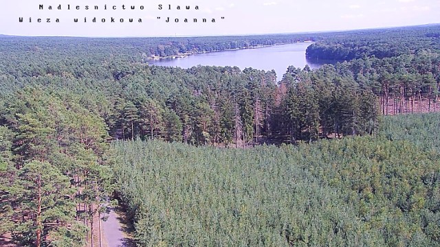 Obraz z kamery. Widać sporą część lasu i Jezioro Sławskie