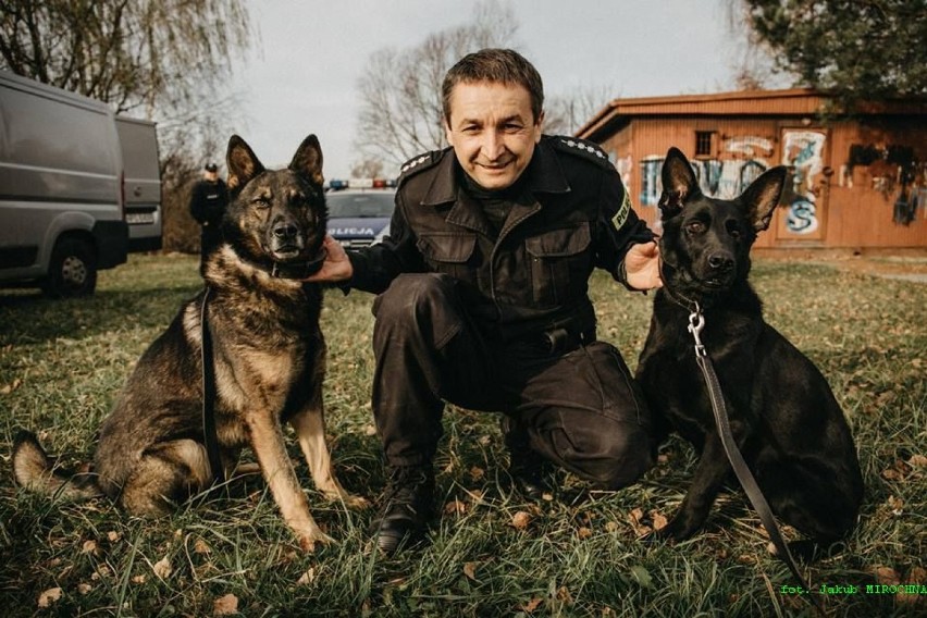 W tarnowskiej policji pracuje obecnie dziewięć psów różnych...