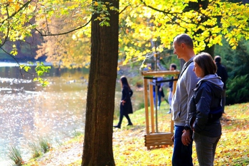 Pogoda jest idealna! Zobaczcie zdjęcia i biegnijcie do parku...