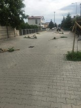Na ulicy Torowej w Kościanie doszło do aktu wandalizmu FOTO
