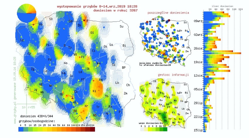 Gdzie są grzyby? Dokąd wybrać się na grzyby w okolicach Radomska? 