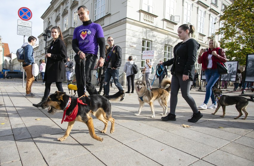 Psy przejdą przez centrum Warszawy. Mają przypomnieć, że...