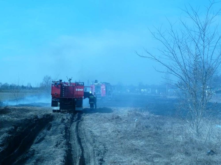 Pożar za Kauflandem