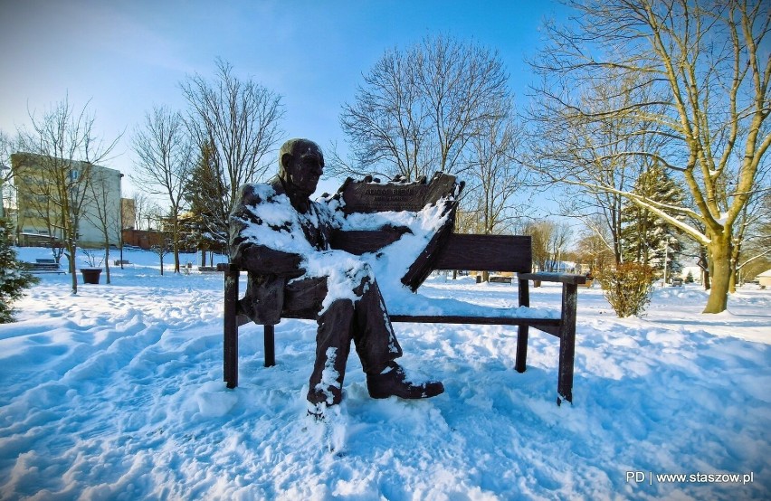 Pomnik Adama Bienia pokryty śniegiem