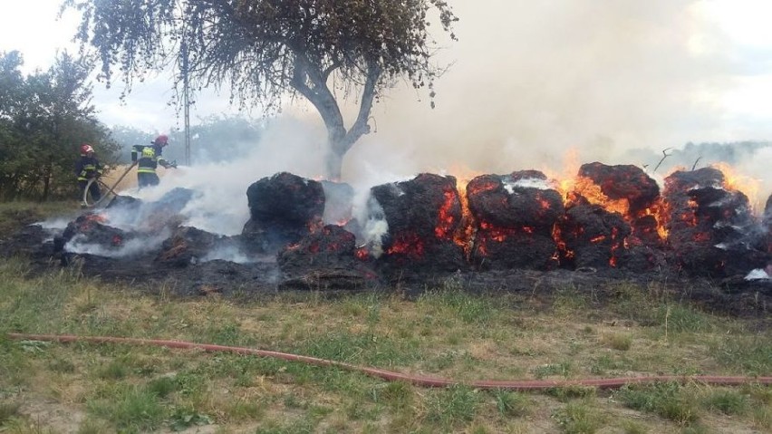 Zagadkowy pożar gospodarstwa w Wąsowie