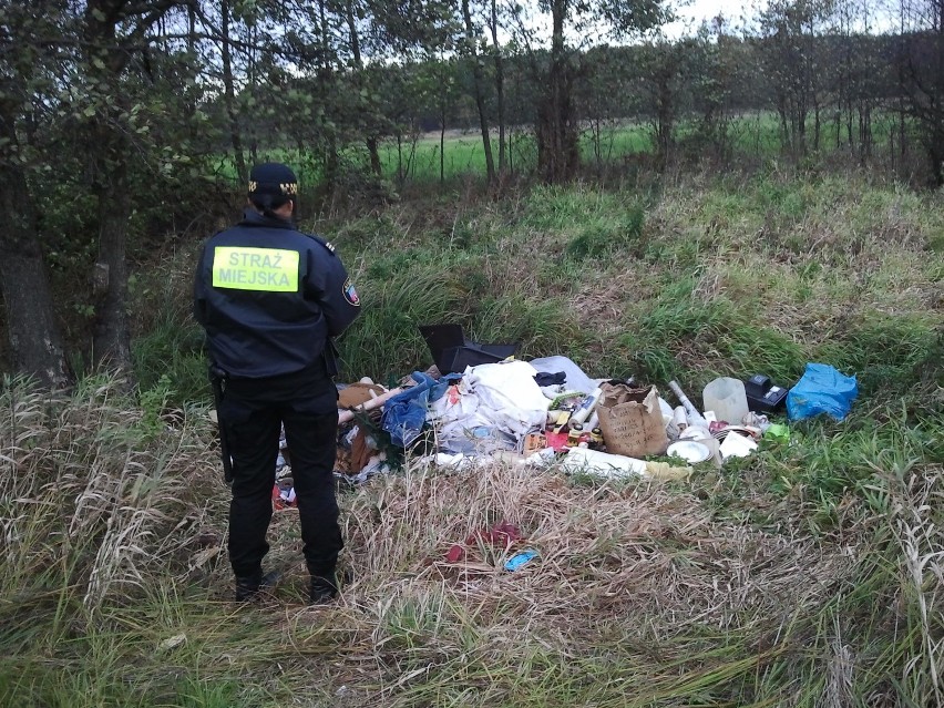 Kalisz: Właściciel prywatnej firmy wyrzucał śmieci nad brzegiem Swędrni. ZDJĘCIA