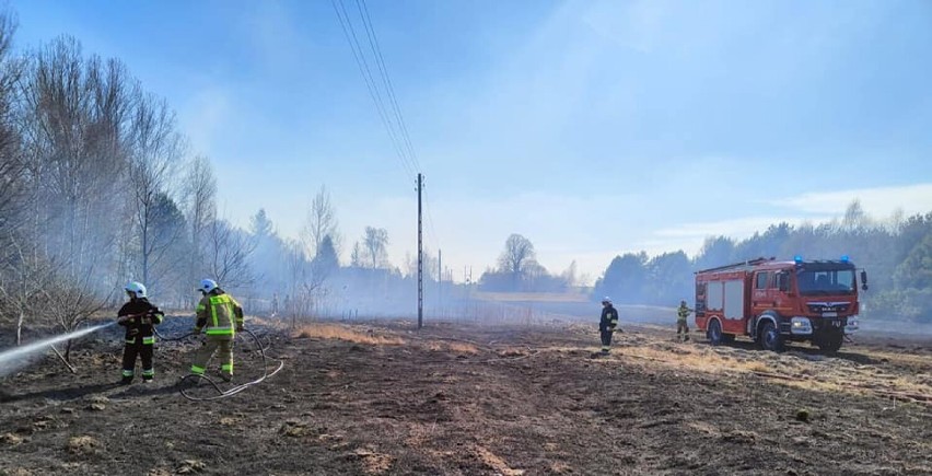 Tragiczny pożar traw w Klewie koło Opoczna. Znaleziono ciało starszego mężczyzny