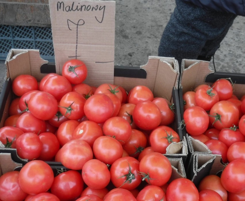 Pomidory malinowe 7 złotych za kilogram